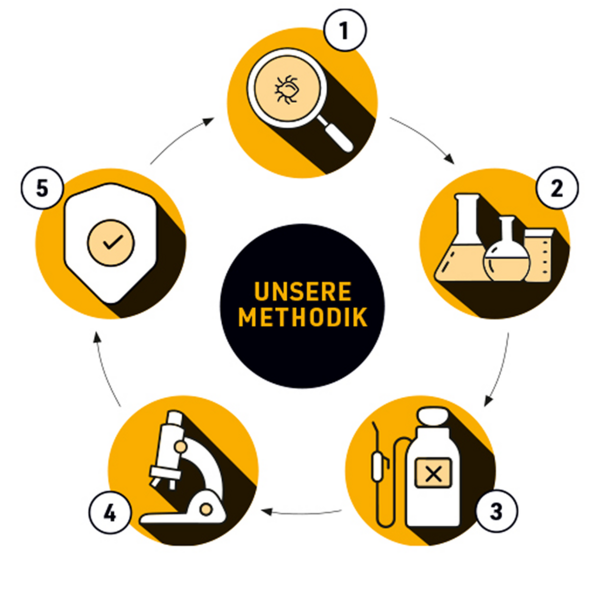 Infografik zur Methodik der Schädlingsbekämpfung mit fünf Schritten von Analyse bis Kontrolle.